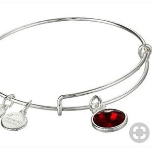 🔥 Alex and Ani January “garnet” bracelet 🔥